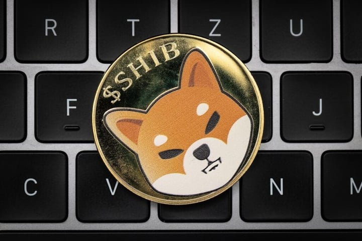 Shiba Inu Rallies 5% After A 53 Million SHIB Token Burn: What Is Going On?