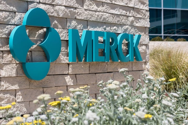 Merck Nears $6 Billion Deal To Buy Terns Pharma: Report