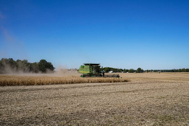 EXCLUSIVE: From ESG To ‘Economic Tool,’ Iran-Driven Fertilizer Shock Is Rewriting Farm Decisions