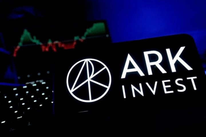Cathie Wood Trims Bitcoin Target As Ark Invest Reduces Circle, Bullish Positions