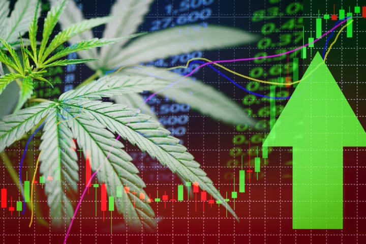 Why Akanda Stock Is Surging Wednesday?