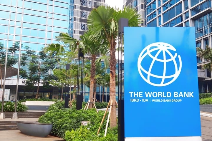 World Bank’s Chief Has A Five-Sector Playbook For Emerging Markets— And It’s Built To Survive A Trade War