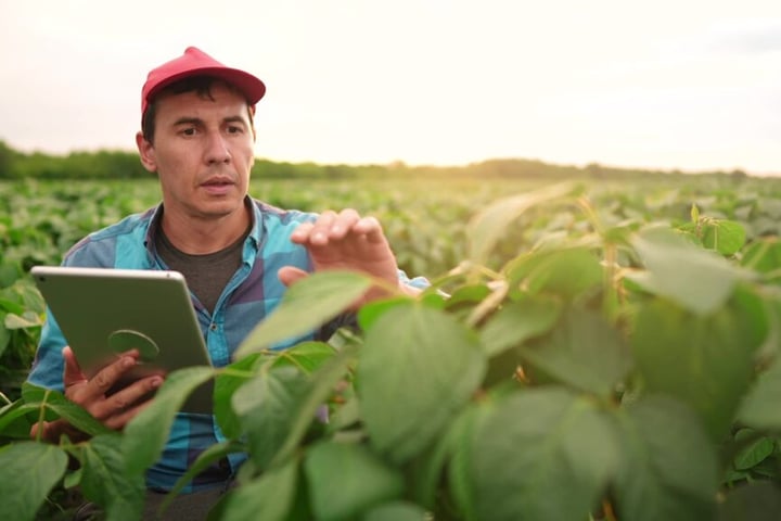 EXCLUSIVE: Nitrogen Fertilizer Market Faces Disruption — 33 Pounds Less Nitrogen, Higher Yields, Says CTO