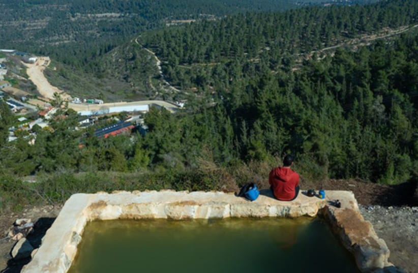 Springs Trail (Shvil HaMaayanot) in Aminadav Forest. (credit: Ilan Shacham)