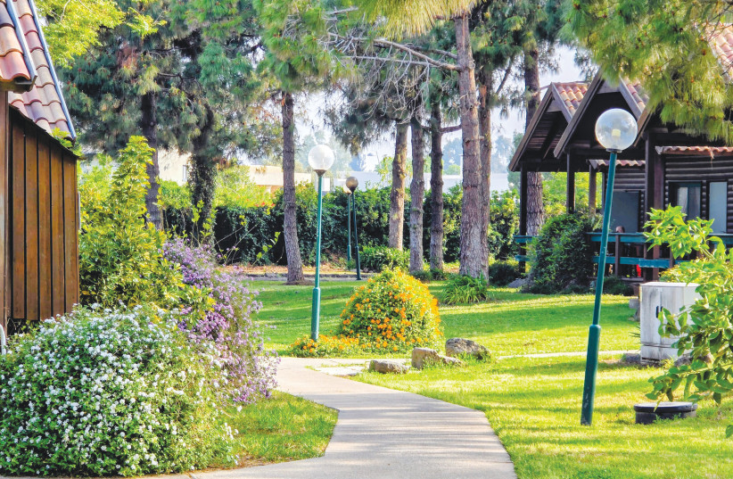 Resort Flora: Flourishing green pathways and vibrant blooms line the walking trails of Mitzpe Hashalom, immersing visitors in a quiet landscape designed to cultivate personal restoration. (credit: NOAM BEDEIN)