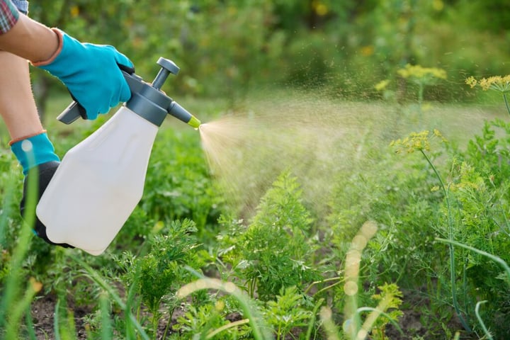 Tenant Thought Landlords Couldn’t Get More Creative With Fees. Now, Their Landlord Wants A Monthly $5 ‘Biology Load Fee’ For Each Houseplant