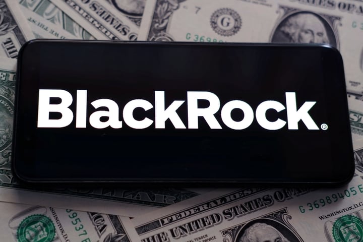 BlackRock Private Credit Fund Takes 5% Hit Amid Software Sector Struggles