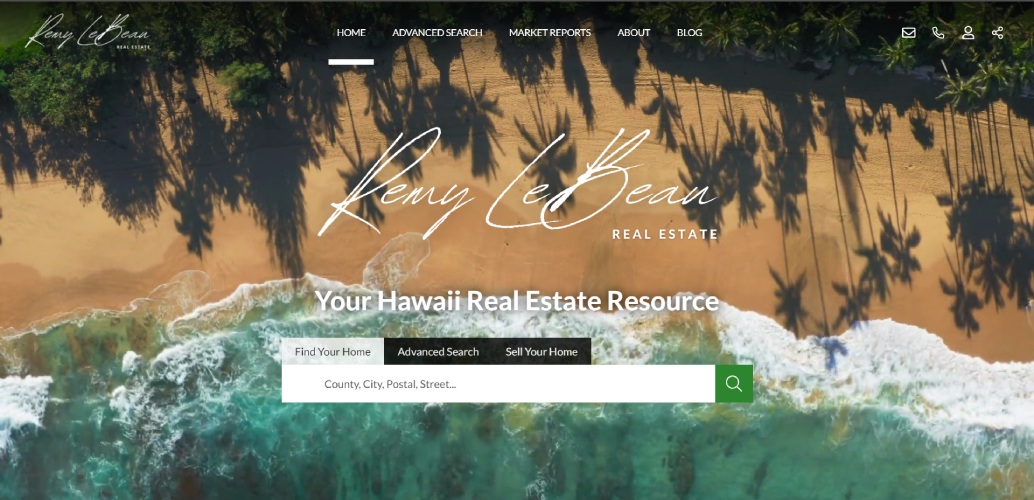 creenshot of Real Geeks website built on the Anna Modern template