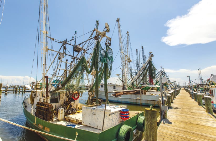 Mississippi shrimp boats. (credit: Illustrative; Shutterstock) Mississippi shrimp boats. (credit: Illustrative; Shutterstock)