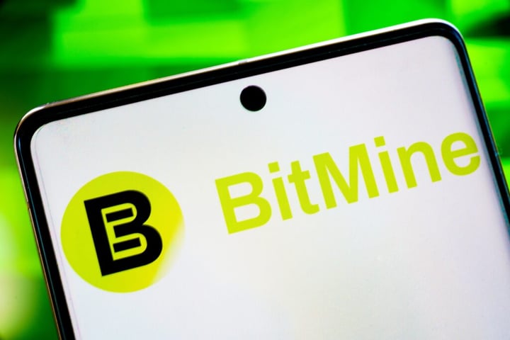 Why Did BitMine Stock Gain On Monday?