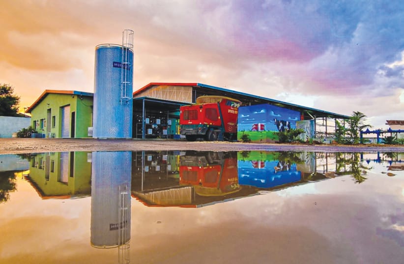 Dairy farm in Kibbutz Alumim with reflection shown on pools of water. The photo was shown in an exhibition in the Eshkol Regional Council. (credit: Stevie Marcus, z&rdquo;l)