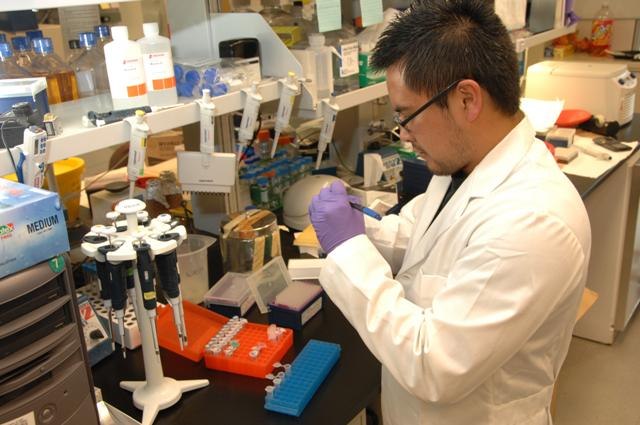 NIH laboratory scientist at work in a file photograph, not an Artiva trial image