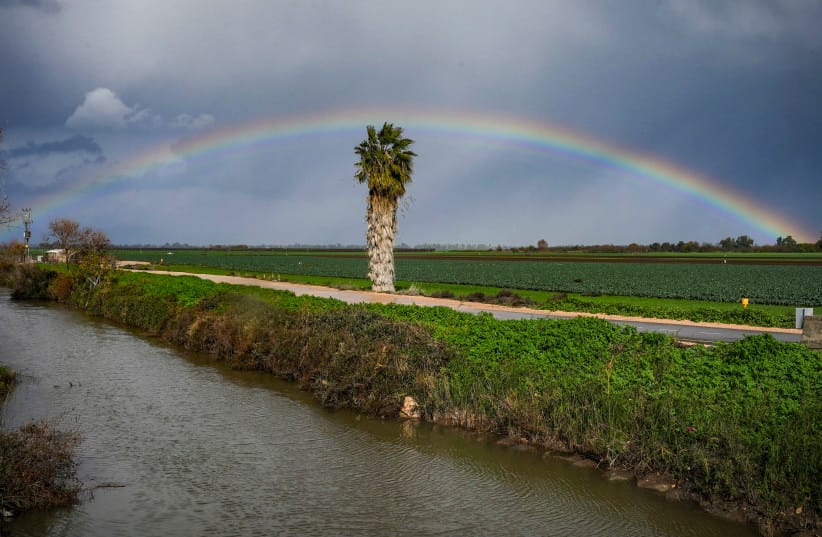 A rainbow is seen over the Hula Nature Reserve in northern Israel following a winter rain, January 13, 2026.  (credit: AYAL MARGOLIN/FLASH90) 