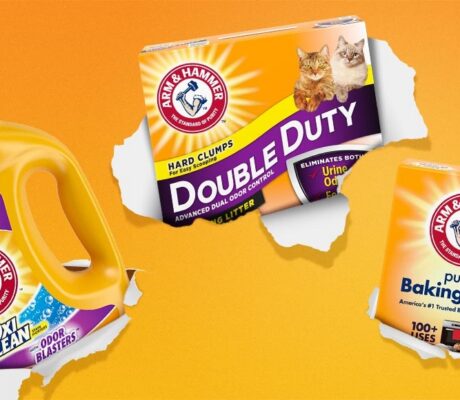 Arm & Hammer detergent, cat litter and baking soda products.