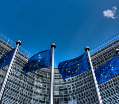 Archive photograph of European Union flags outside the Berlaymont building in Brussels, May2014.