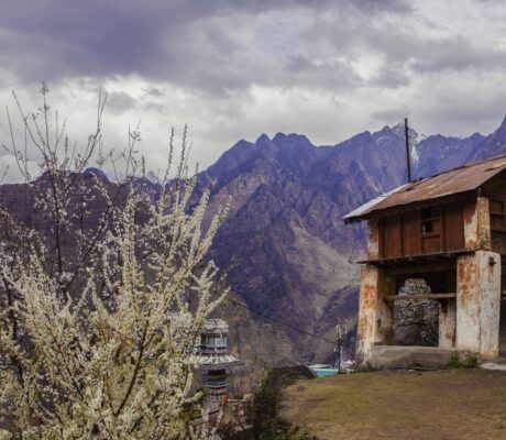 Archive landscape at Joshimath, Uttarakhand, in March 2016. Not the helicopter crash scene.