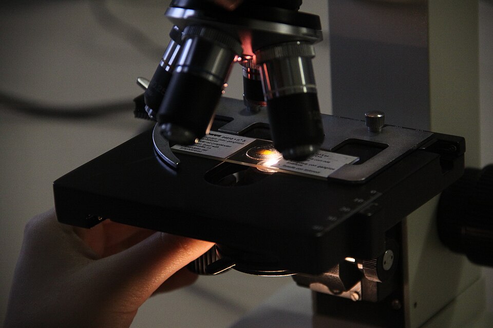 Microscope at Collegio Rotondi in Italy, December 13, 2023.