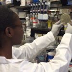 Archive laboratory research photograph: NIAID scientist examining an agar plate in January 2020. Not an AbbVie facility.