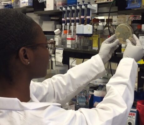 Archive laboratory research photograph: NIAID scientist examining an agar plate in January 2020. Not an AbbVie facility.